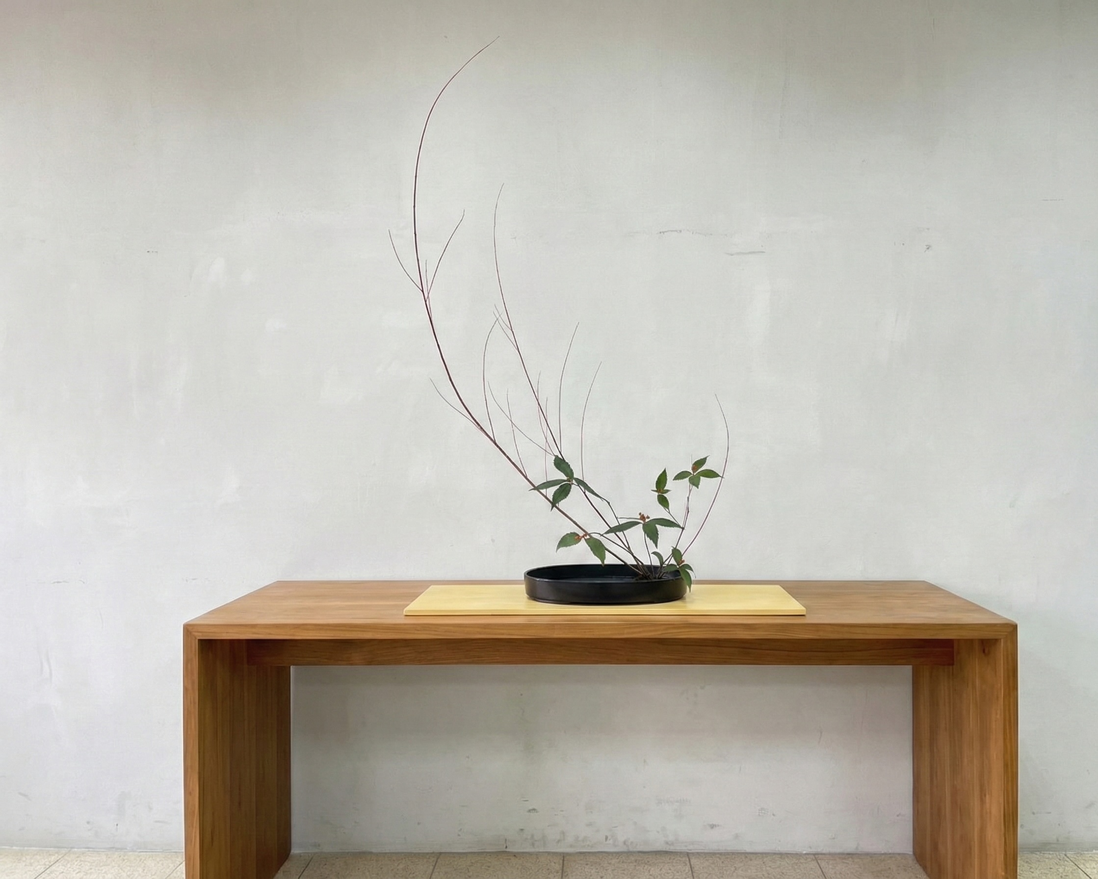 作品